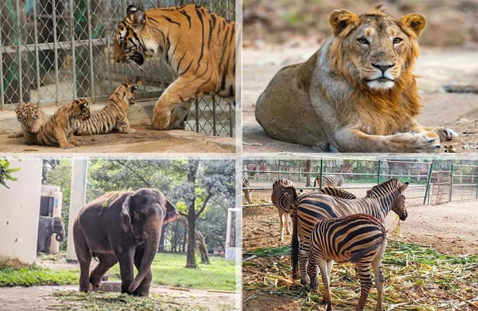 Bangladesh National Zoo